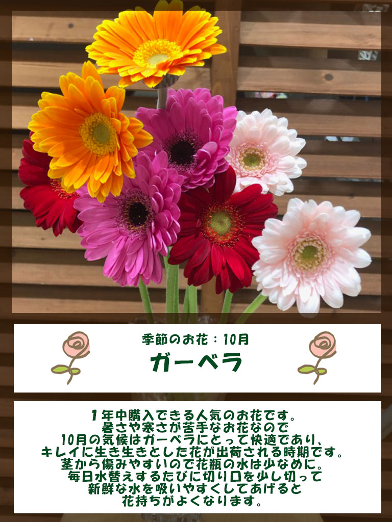 今月の季節のお花